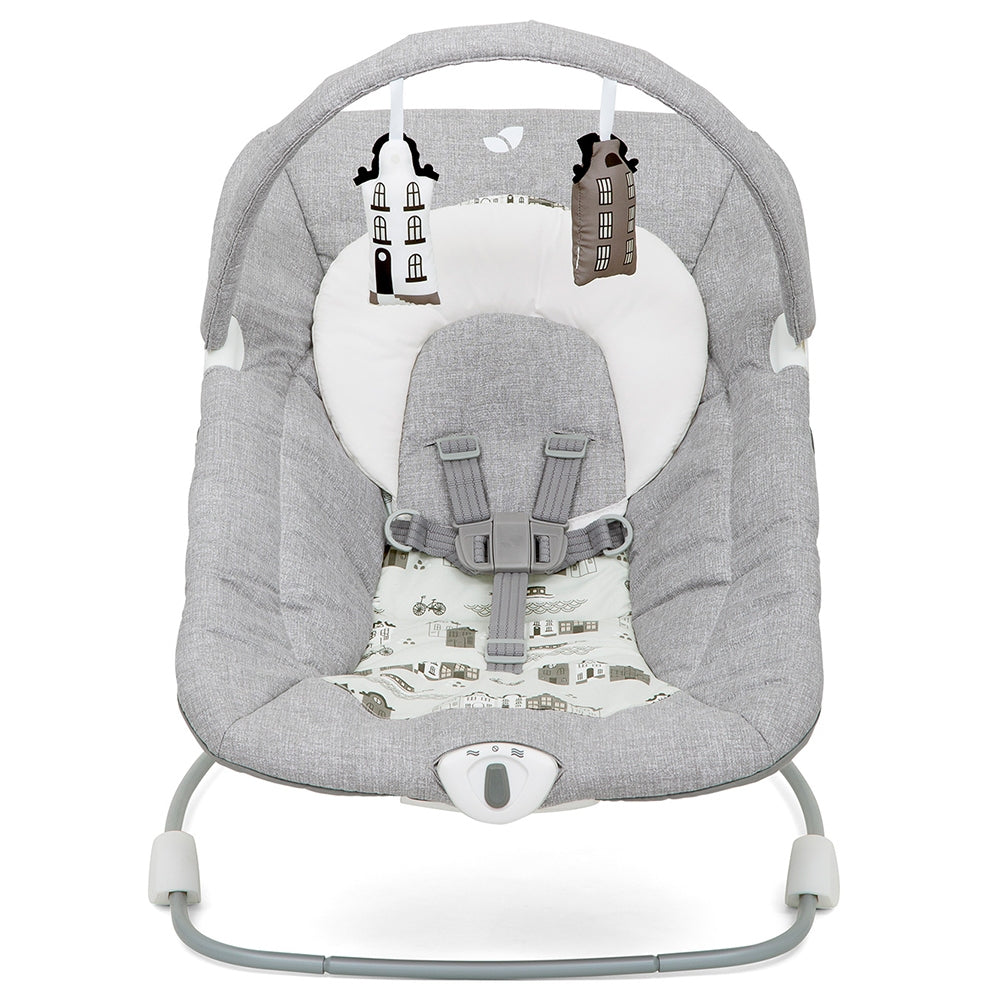 Joie Wish Baby Bouncer