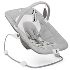 Joie Wish Baby Bouncer