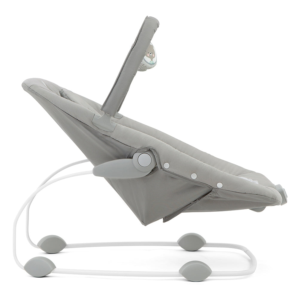 Joie Wish Baby Bouncer