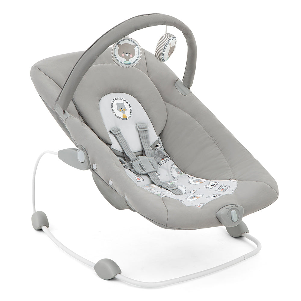 Joie Wish Baby Bouncer